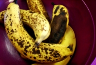 Be-speckled Bananas